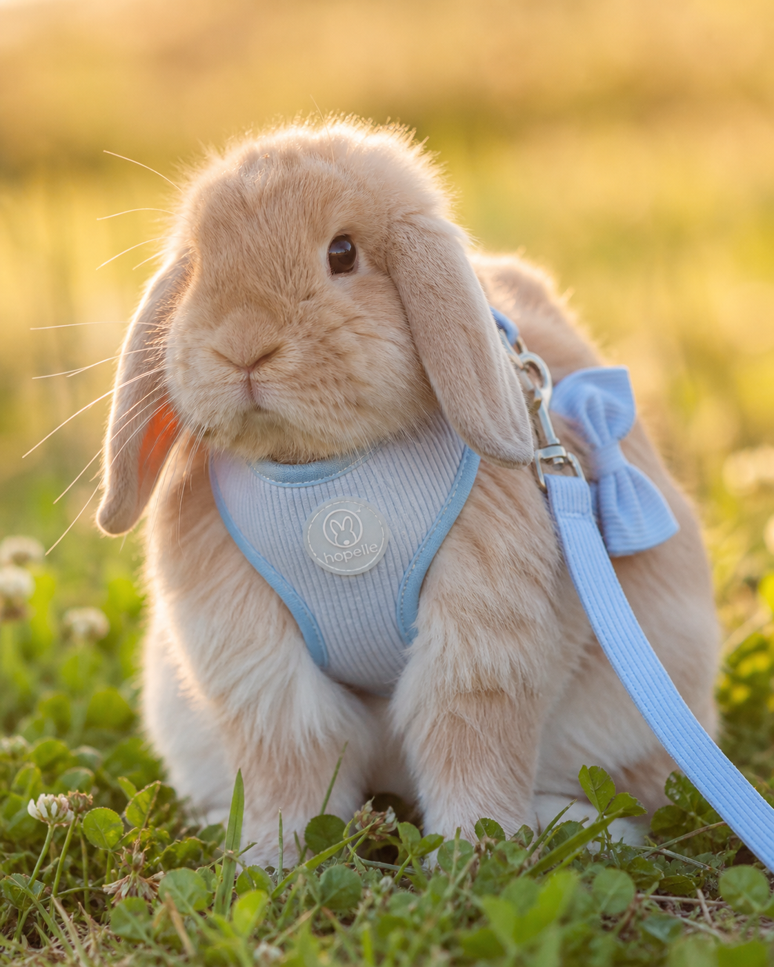 Hopelle harness in Powder Sky